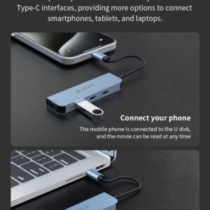 HUB 4 in 1 da tipo C a USB x2 + C + PD 100 W serie Leopard