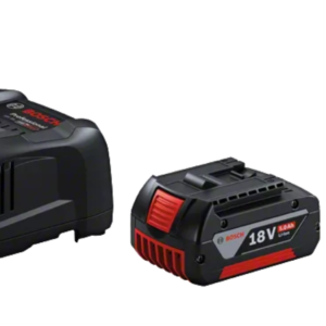 1600A00B8J,Set 2 batterie 18V 5.0Ah + Caricabatteria